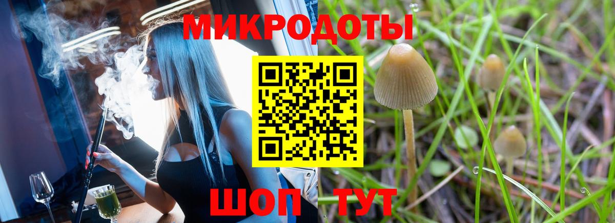Галлюциногенные грибы мухоморы Великие Луки