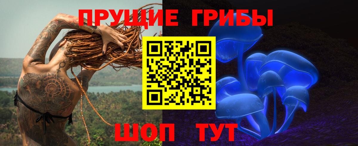 Великие Луки  Псилоцибиновые грибы Cubensis  Вход с VPN  Галлюциногенные грибы прущие грибы 